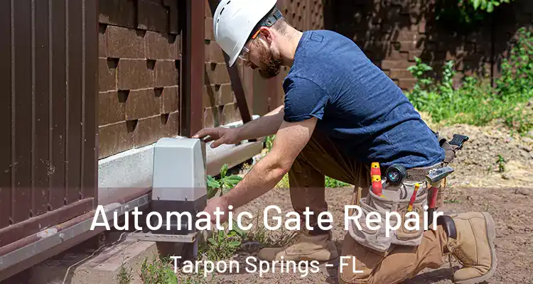  Automatic Gate Repair Tarpon Springs - FL