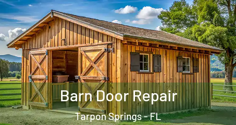  Barn Door Repair Tarpon Springs - FL