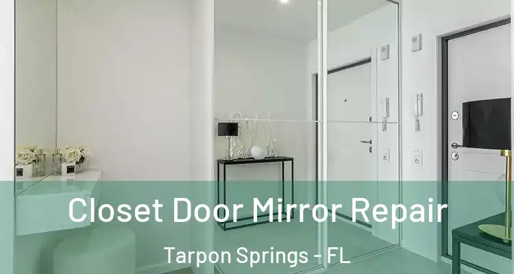  Closet Door Mirror Repair Tarpon Springs - FL