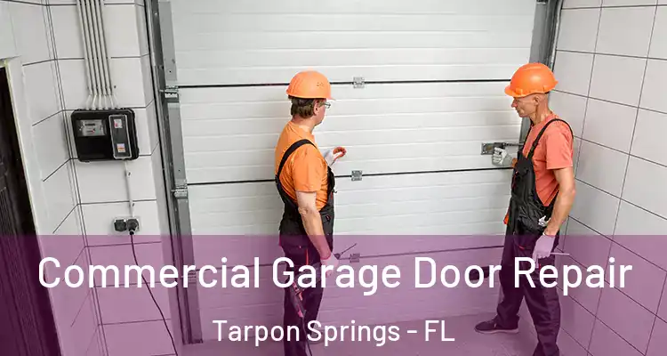  Commercial Garage Door Repair Tarpon Springs - FL