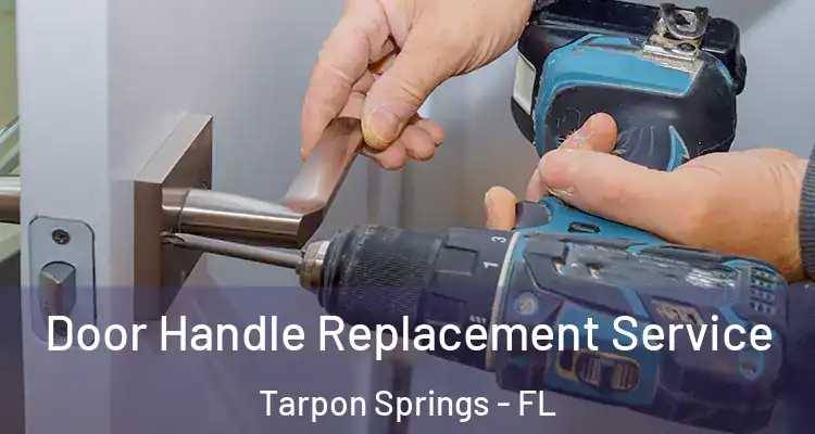  Door Handle Replacement Service Tarpon Springs - FL
