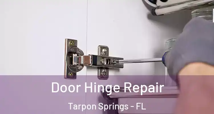  Door Hinge Repair Tarpon Springs - FL
