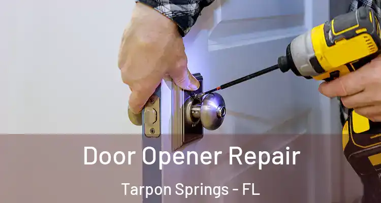  Door Opener Repair Tarpon Springs - FL