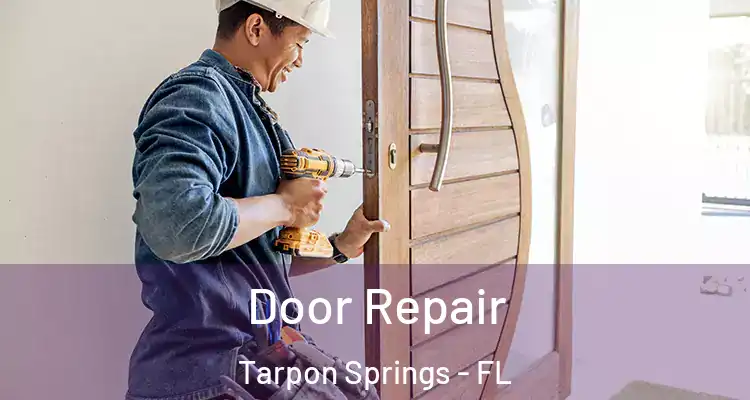  Door Repair Tarpon Springs - FL