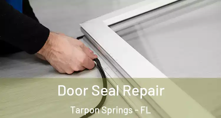  Door Seal Repair Tarpon Springs - FL