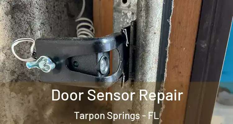  Door Sensor Repair Tarpon Springs - FL