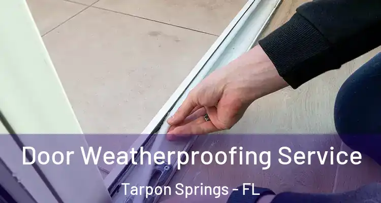  Door Weatherproofing Service Tarpon Springs - FL