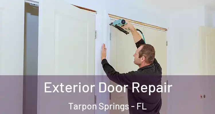  Exterior Door Repair Tarpon Springs - FL