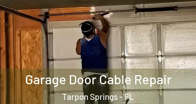  Garage Door Cable Repair Tarpon Springs - FL