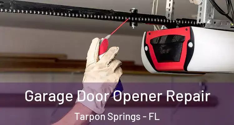  Garage Door Opener Repair Tarpon Springs - FL