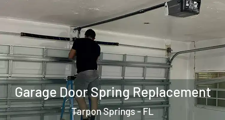  Garage Door Spring Replacement Tarpon Springs - FL