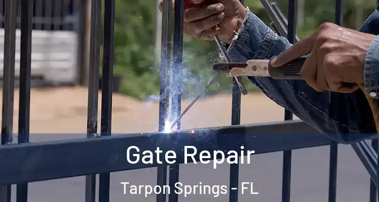  Gate Repair Tarpon Springs - FL