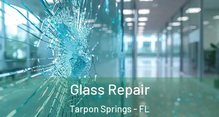  Glass Repair Tarpon Springs - FL