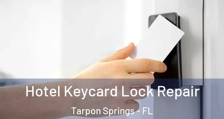  Hotel Keycard Lock Repair Tarpon Springs - FL