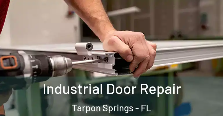 Industrial Door Repair Tarpon Springs - FL