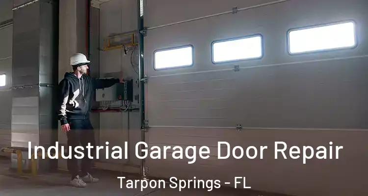  Industrial Garage Door Repair Tarpon Springs - FL