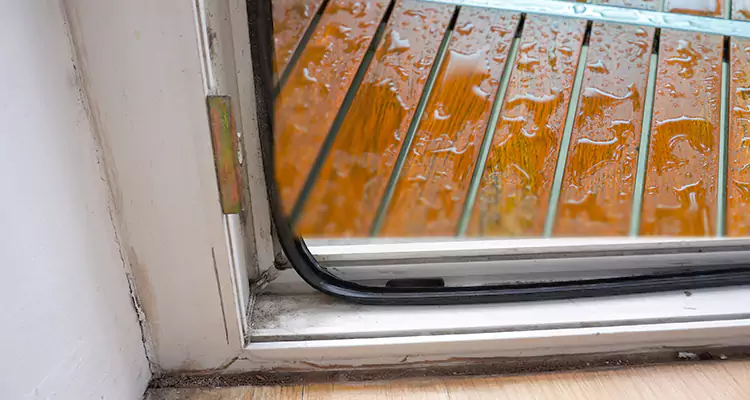 Water Leaking Wooden Patio Doors Repair in Tarpon Springs, FL