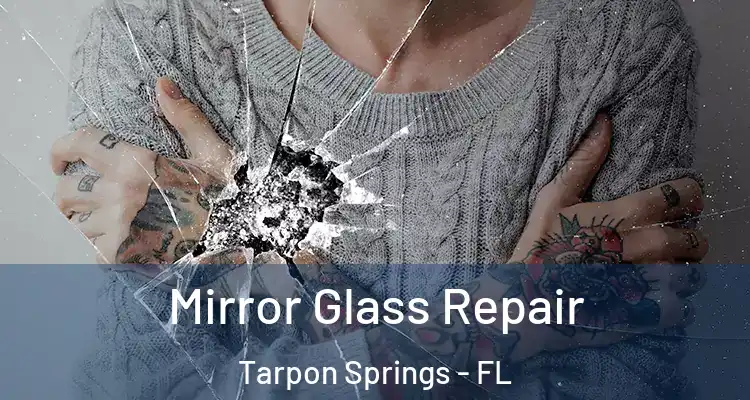  Mirror Glass Repair Tarpon Springs - FL