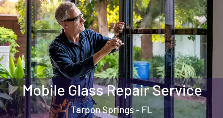  Mobile Glass Repair Service Tarpon Springs - FL