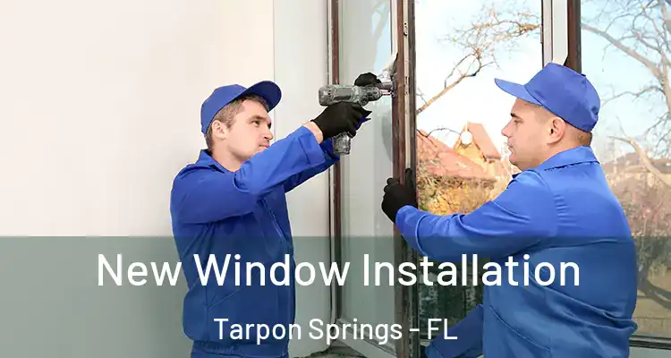  New Window Installation Tarpon Springs - FL
