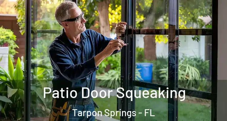  Patio Door Squeaking Tarpon Springs - FL
