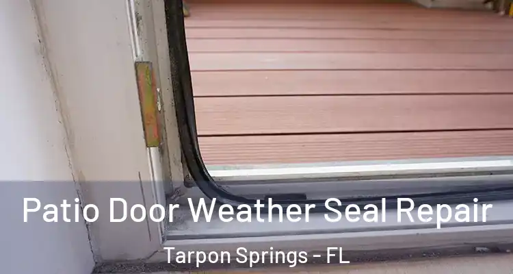  Patio Door Weather Seal Repair Tarpon Springs - FL