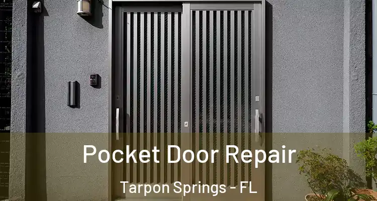  Pocket Door Repair Tarpon Springs - FL