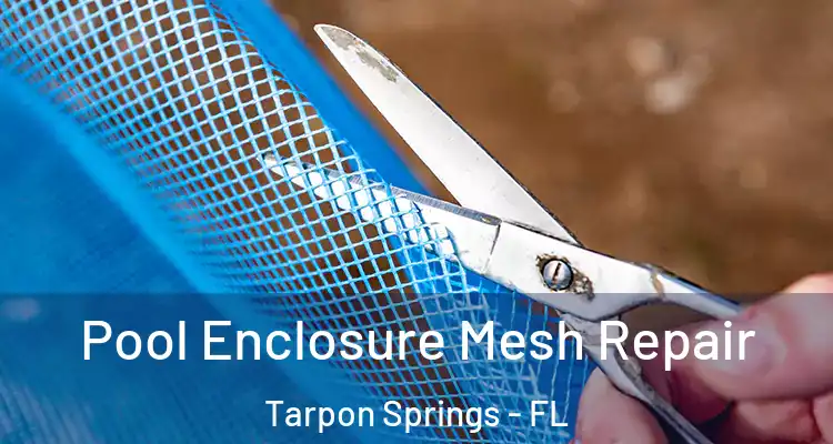  Pool Enclosure Mesh Repair Tarpon Springs - FL