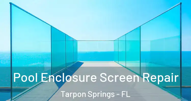  Pool Enclosure Screen Repair Tarpon Springs - FL