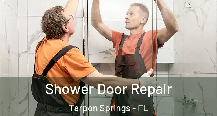  Shower Door Repair Tarpon Springs - FL