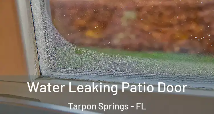  Water Leaking Patio Door Tarpon Springs - FL