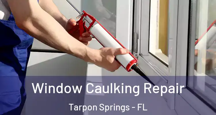  Window Caulking Repair Tarpon Springs - FL