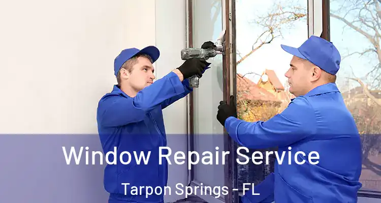  Window Repair Service Tarpon Springs - FL