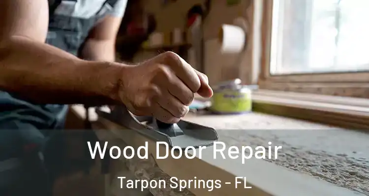  Wood Door Repair Tarpon Springs - FL